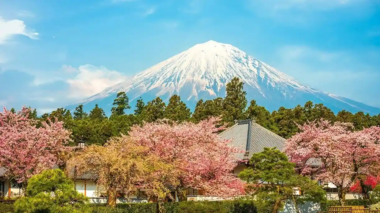 Dịch vụ Visa Nhật